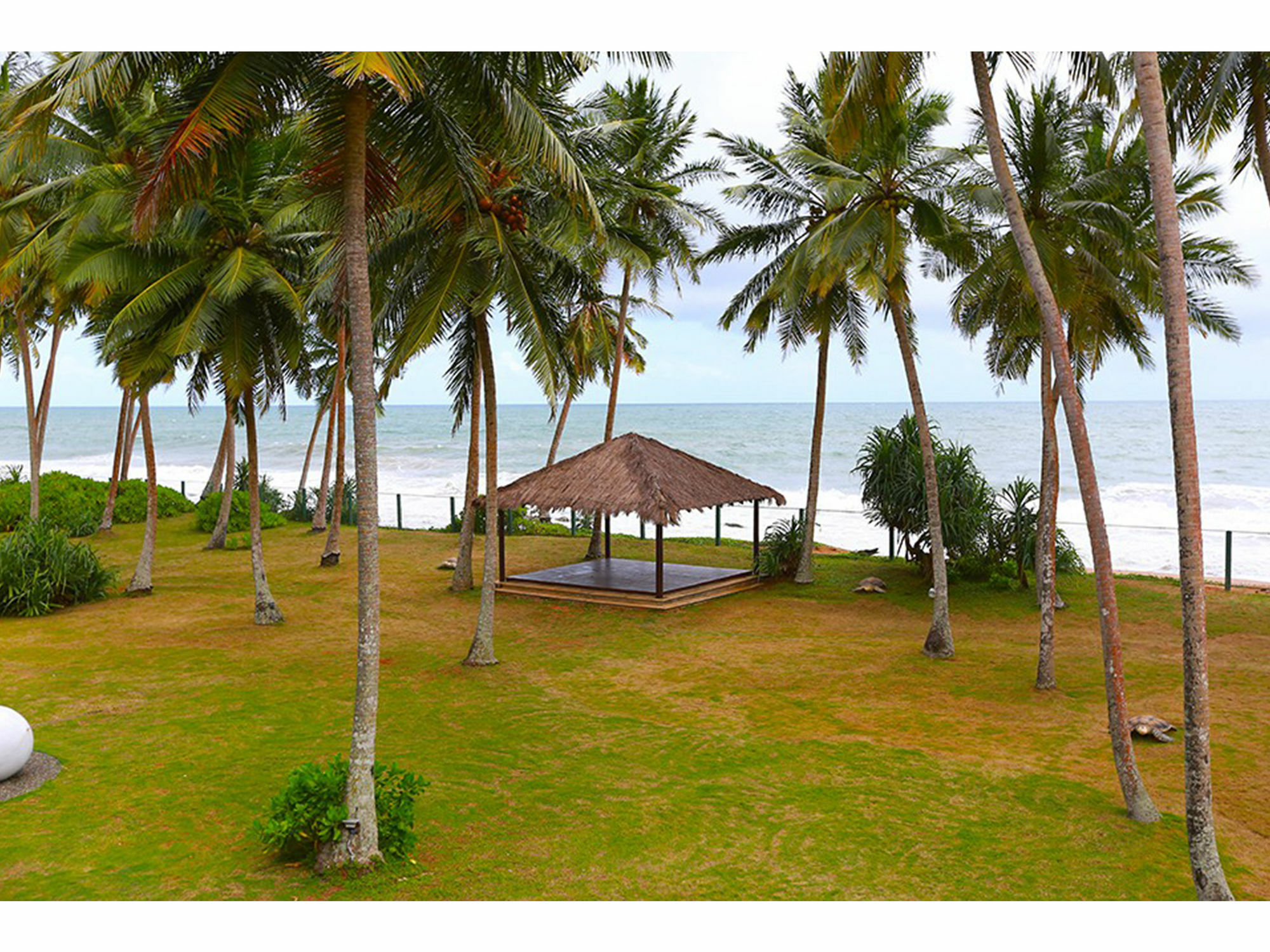 Green Turtle Villa By The Serendipity Collection เบนโตตา ภายนอก รูปภาพ